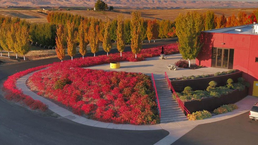 Long Shadows Winery, Washington, USA
